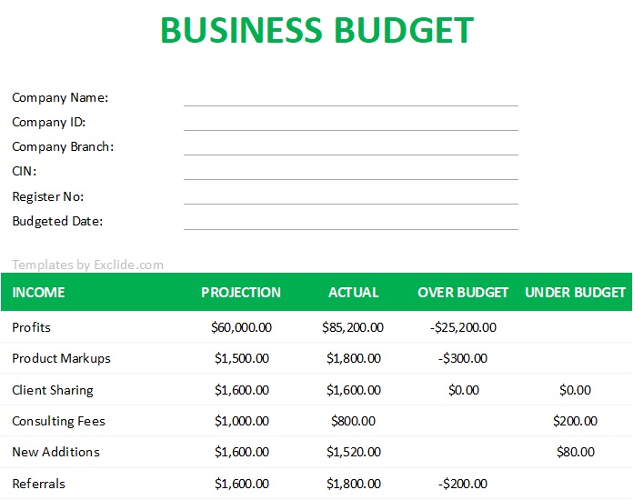 Business Budget Template