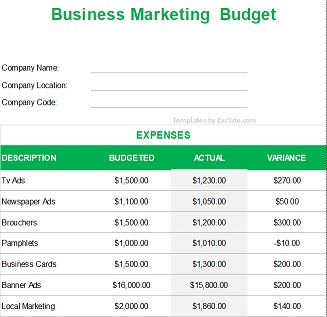 Business Marketing Budget Template