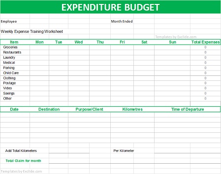 Expenditure Budget Template