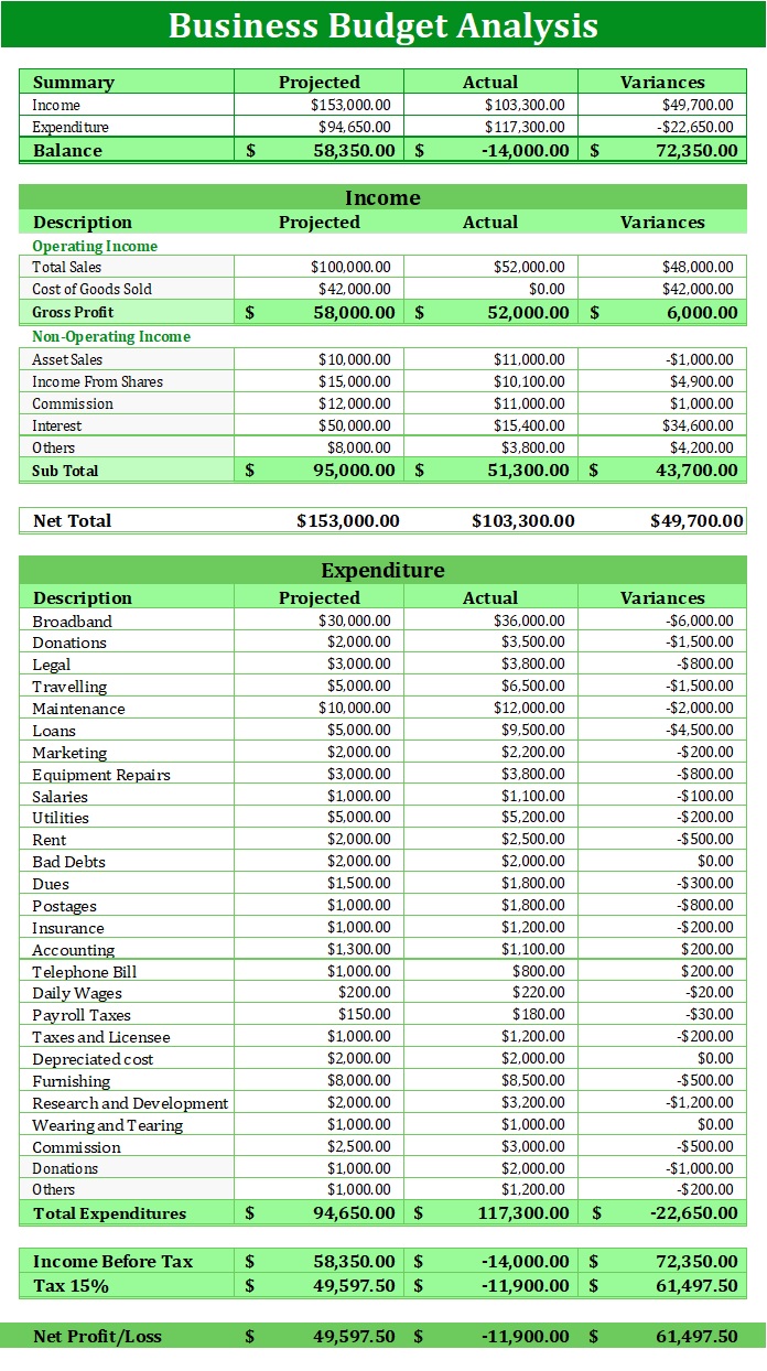 Business Budget Analysis